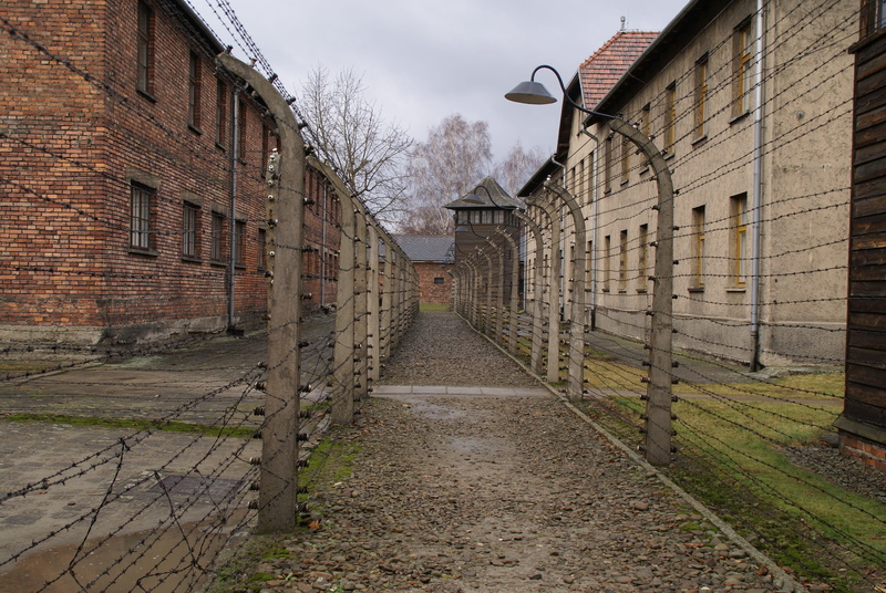 architecture, 2K, war, day, city, prosecution, brick wall, diminishing perspective, built structure, residential district, building, auschwitz-birkenau