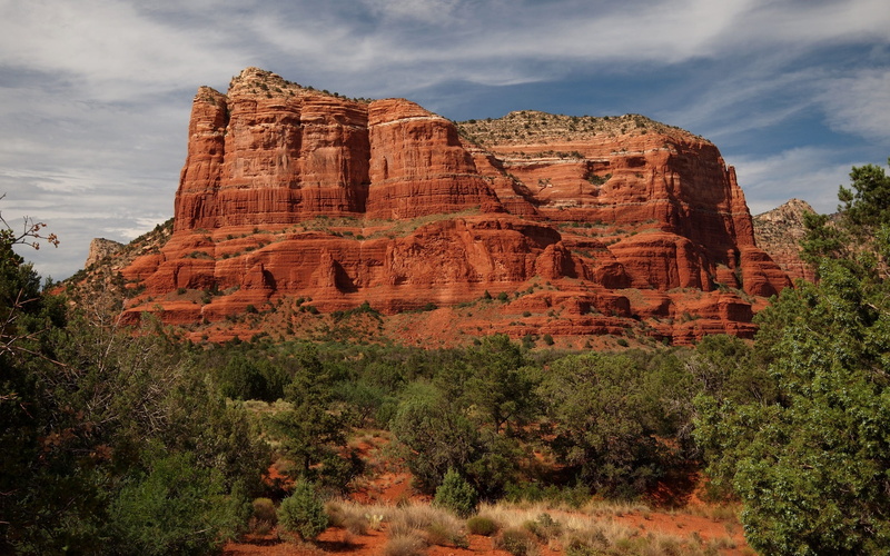 erosion, climate, plant, rock formation, environment, solid, Sedona, outdoors, cloud - sky, travel destinations, non-urban scene, usa, geological, sedona