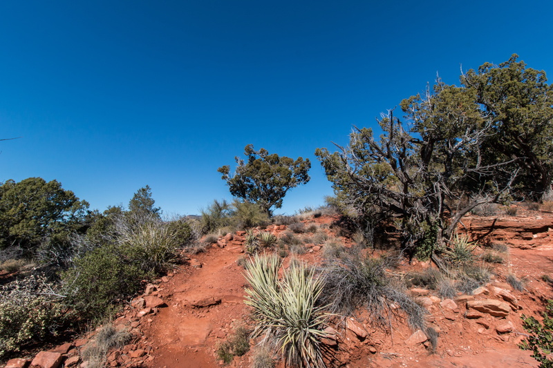 landscape, red, climate, semi-arid, blue, non-urban scene, southwest, wilderness, arizona, plant, clear sky, sky, desert, no people, scenics - nature, beauty in nature
