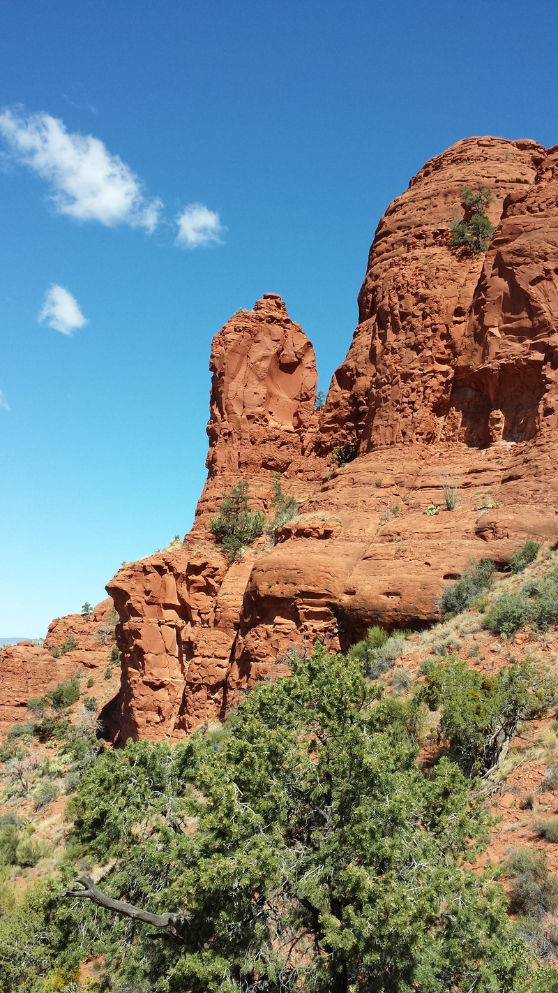 sandstone, arizona, no people, rock - object, plant, cliffs, blue, scenics - nature, 4K, climate, red, landscape, nature, beauty in nature, physical geography