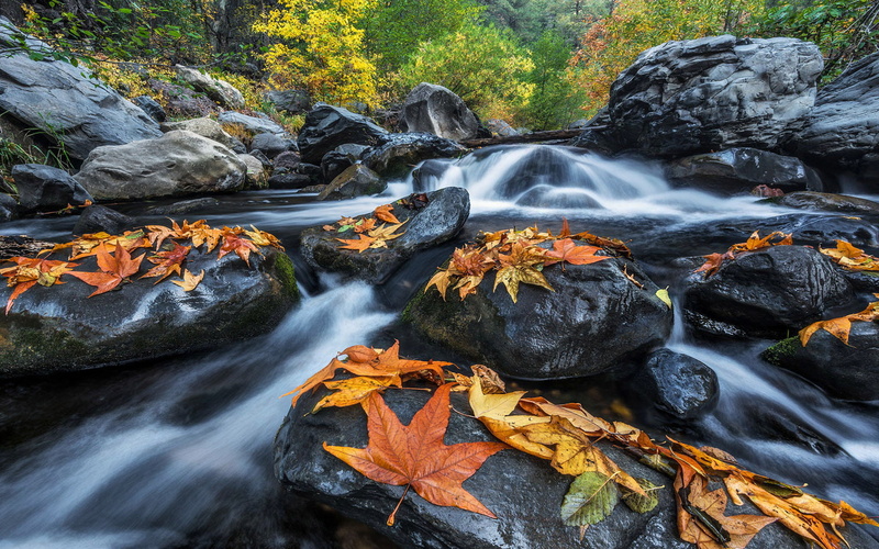 autumn, canyon, northern, 1080P, river, landscape, creek, oak, arizona, cities, gorge, flagstaff, sedona