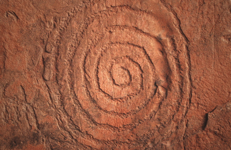 close-up, brown, nature, pattern, outdoors, full frame, solid, tree, plant, day, indian, geology, spiral, wood - material, rock, native american rock art