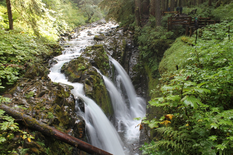 falls, plant, rock, motion, flowing water, no people, outdoors, sol duc falls, environment, nature, falling water, beauty in nature, waterfall, blurred motion