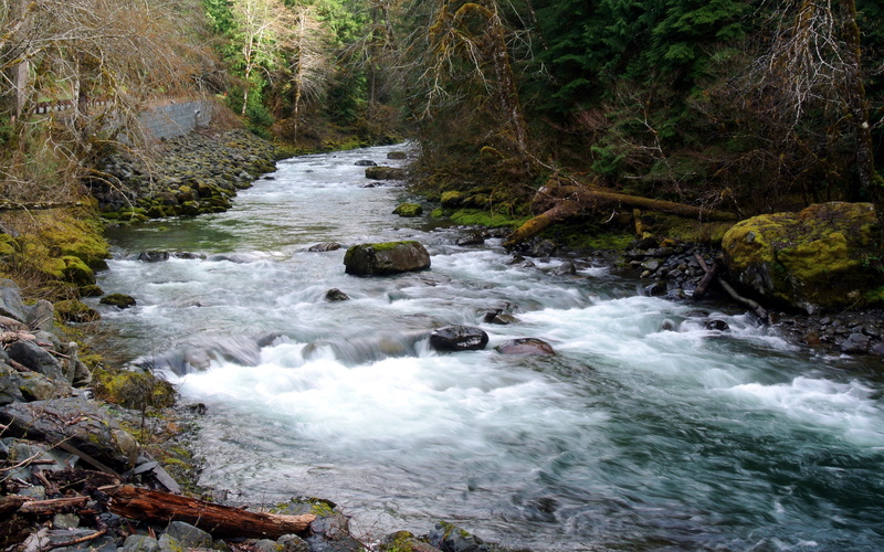 washington, water, desktop, power in nature, nature, solid, state, rock, rock - object, 4K, plant, forest, olympic, flowing, park, hd, national, scenics - nature