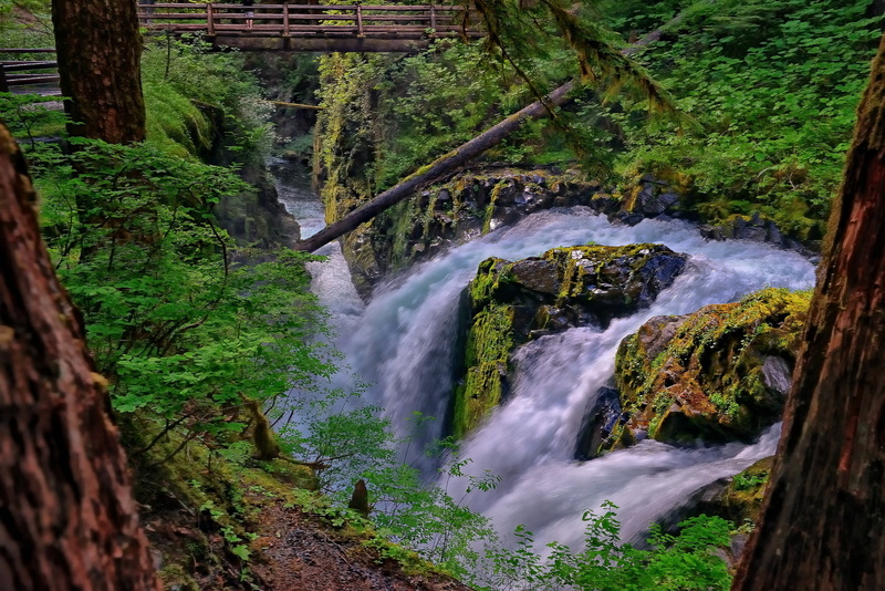 stream, Sol Duc Falls, Olympic National Park, Sol Duc River, 1080P, river, Washington, waterfall, bridge, forest