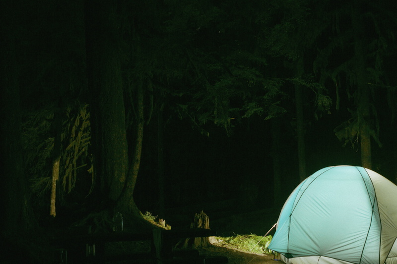 tree, forest, outdoors, trunk, night, green color, long exposure, port angeles, adventure, tent, no people, camping, beauty in nature, united states, woodland