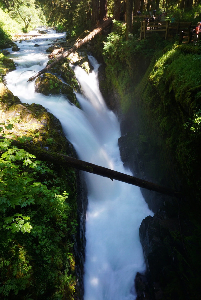 river, white, 1080P, flowing water, nature, leaves, long exposure, beauty in nature, waterfall, white water, plant, land, tree, united states, outdoors