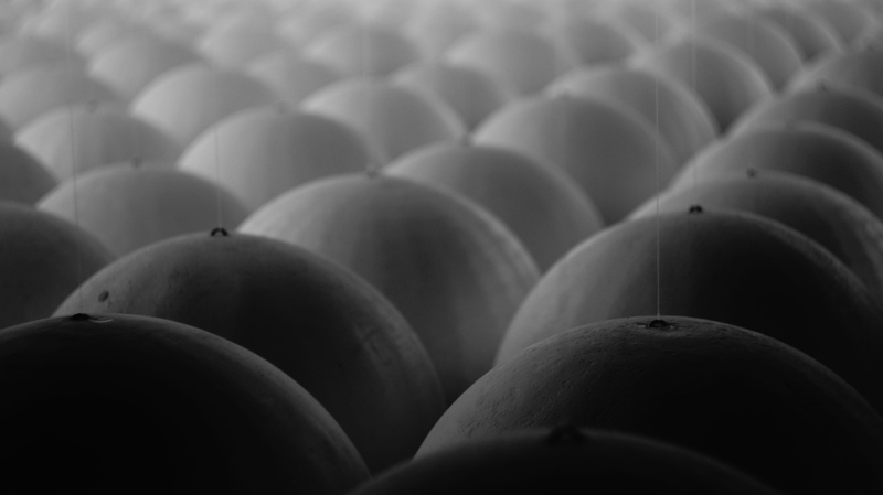 food, wellbeing, healthy eating, close-up, studio shot, balls, selective focus, orbs, indoors, large group of objects, still life, in a row, abundance