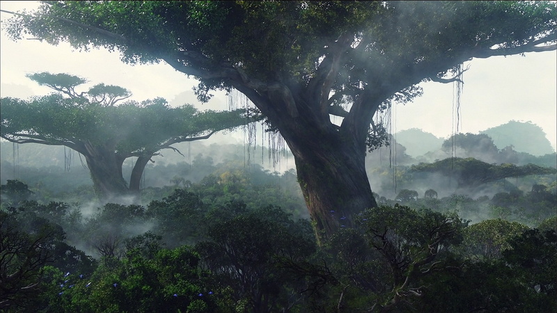 film, Landscapes, entertainment, movies, plants, jungle, Trees, forests, 1080P, avatar, hd, art