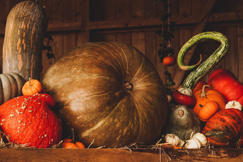 variation, thanksgiving, barn, autumn, basket, wood - material, freshness, wellbeing, food, orange, pumpkin, large group of objects, onion, 5K, food and drink