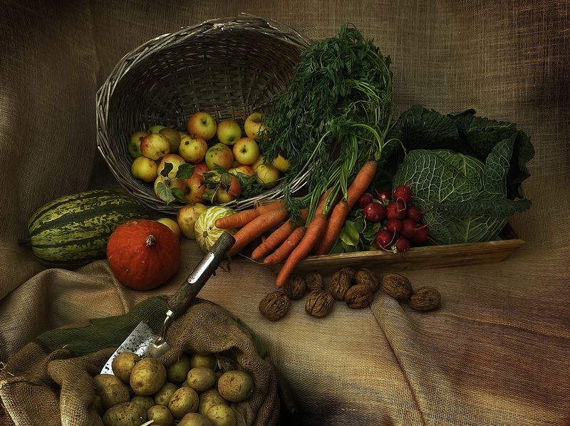 carrot, root vegetable, agriculture, vegetables, choice, pumpkin, freshness, large group of objects, healthy eating, still life, no people, indoors, vegetable