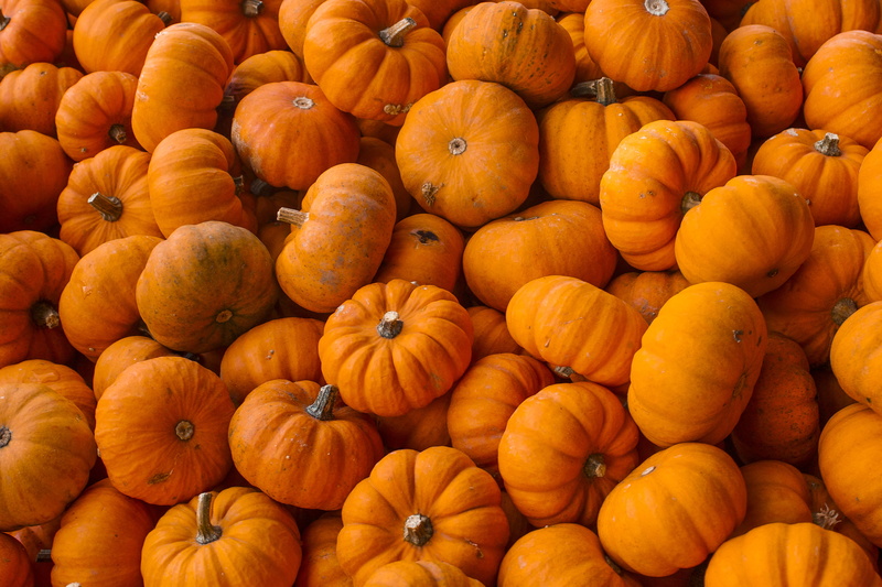 flora, squash, food, pumpkin, market, lot, no people, full frame, october, outdoors, backgrounds, pumpkins, freshness, cucurbitaceae, wellbeing, orange color