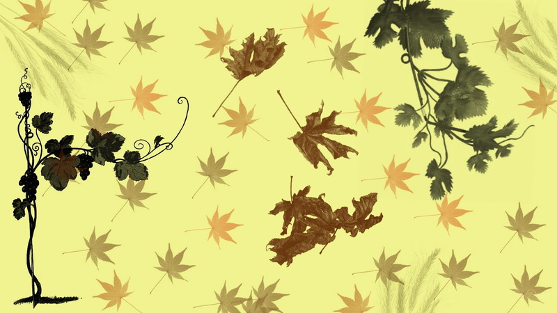 fall, widescreen, yellow, leaves, autumns, abstract, 3d and abstract, autumn, grapes, 1080P