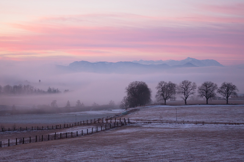 trees, Karawanken, sunrise - Dawn, photo, Carinthia, Nebel, Kärnten, Fog, dawn, Sunrise, tree, rural Scene, Mountains, mist, Berge, mountain, outdoors