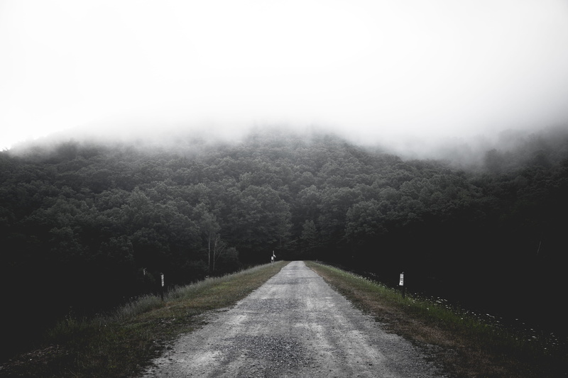 tranquility, tranquil scene, nature, beauty in nature, gloomy, the way forward, daytime, scenics - nature, shallow, mountain, photography, landscape, treelined