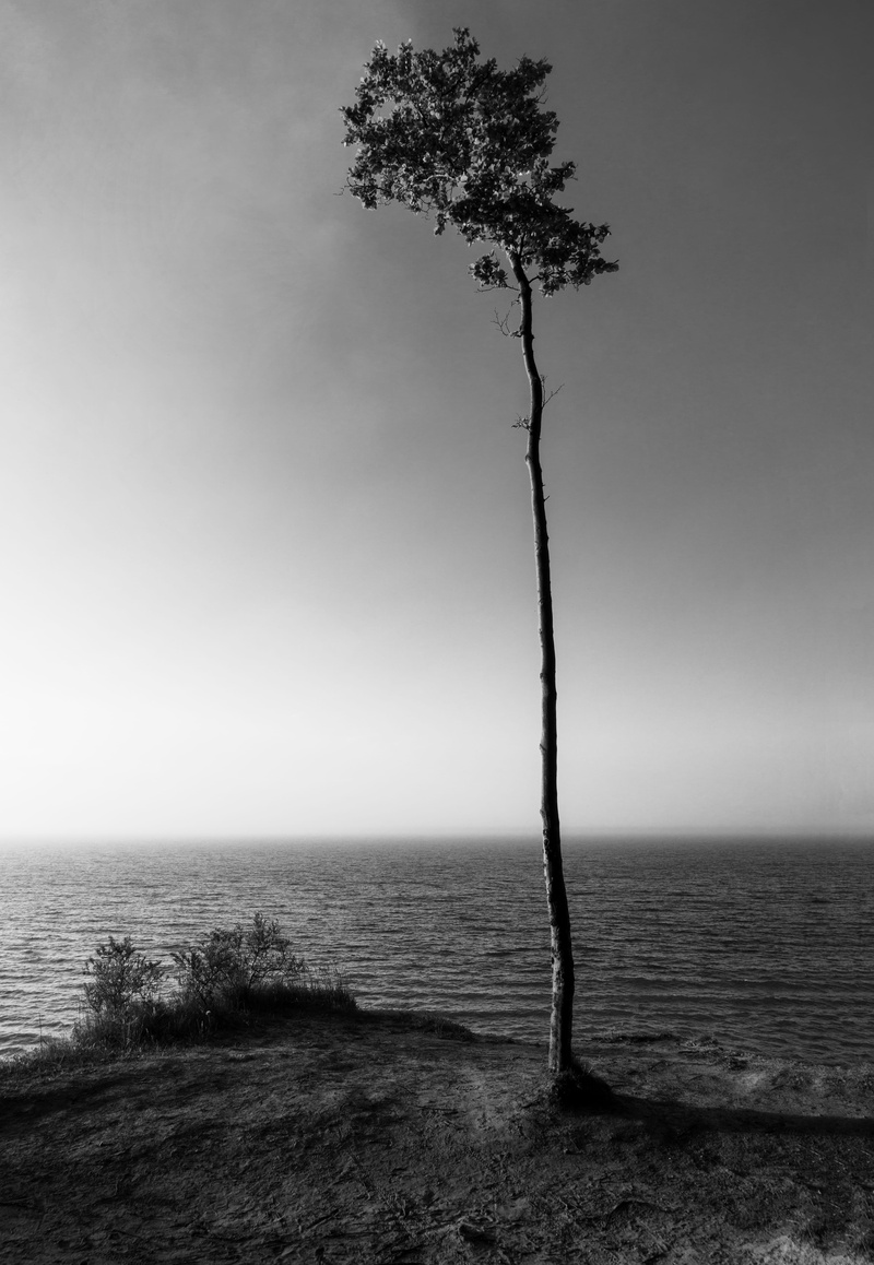 beauty in nature, alone, day, rostock, tranquil scene, water, kap geinitzort, plant, sea, black, waves, 5K, horizon, no people, land, beach, environment