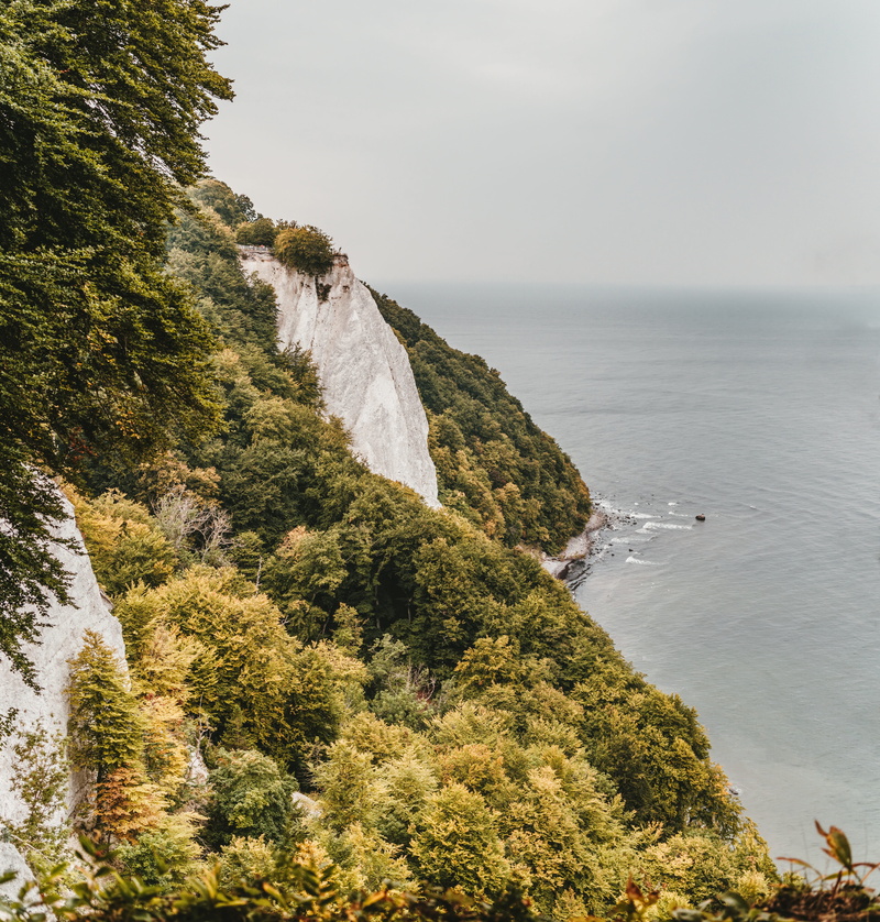 baltic sea, scenics - nature, king chair, autumn, rock - object, sea, no people, recovery, tranquility, outdoors, cliffs, background, forest, water, beauty in nature