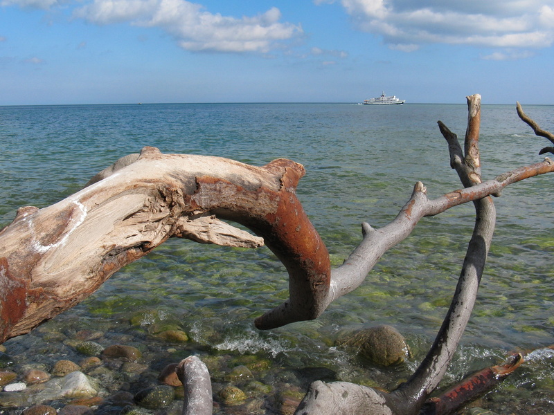 the waves, outdoors, day, stone coast, log, baltic sea, tides, clouds, travel, cape arkona, tranquil scene, beauty in nature, dead tree, northern germany
