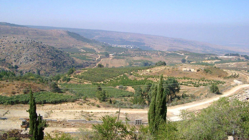 ramat hagolan, travel destinations, semi-arid, 1080P, plant, tree, outdoors, idyllic, golan heights, non-urban scene, tranquility, mountain, travel, land