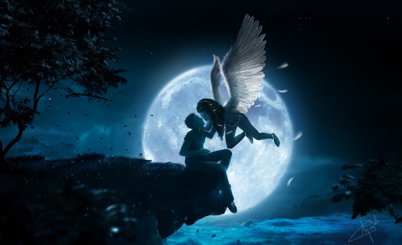 height, boy, the moon, discovery, cliff, adventure, 1080P, clouds, diving, leaves, sea, back Lit, low angle view, night, wings, underwater, diving Into Water