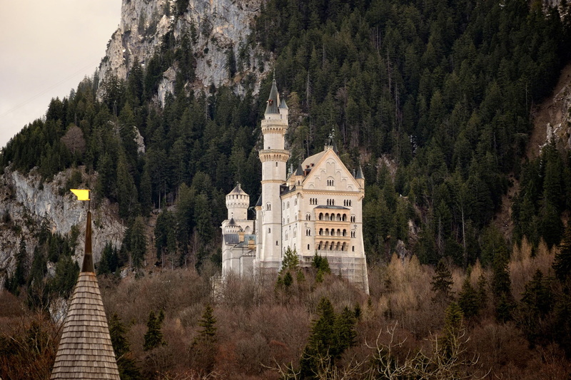 1080P, disneyworld, forest, rock, castle