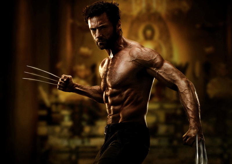 weight Training, the Human Body, standing, males, adult, holding, posing, sport, body, gym, young Adult, sportsman, human Abdomen, determination, caucasian Ethnicity