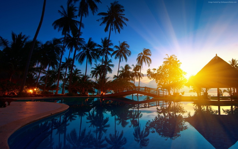 palm trees, resort, swimming pool, 1080P, sun rays, Thailand