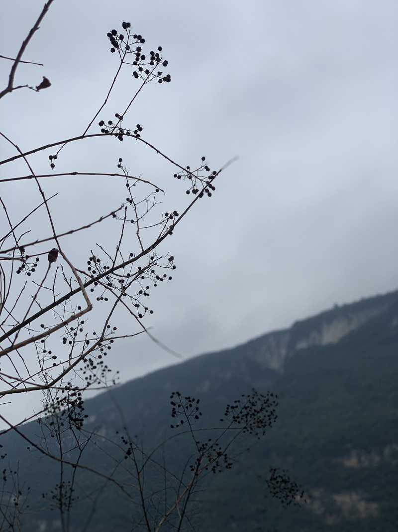 cloud - sky, 4K, 304 sheng dao, tranquility, tranquil scene, beauty in nature, animal themes, crow, light, day, flying, silhouette, mountain, flare, mountain range