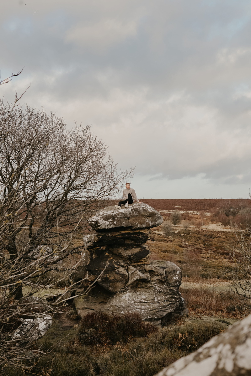 solid, piled, mesa, person, tranquility, plant, outdoors, cloud - sky, domestic, daytime, day, animal themes, near, 4K, eagle, wood, trees, nature, no people