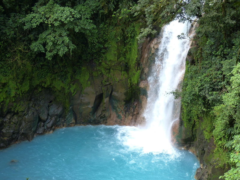 leaf, power in nature, falling water, plants, growth, scenics - nature, foam, flowing water, waterfall, nature, rock - object, lake, surrounded, plant