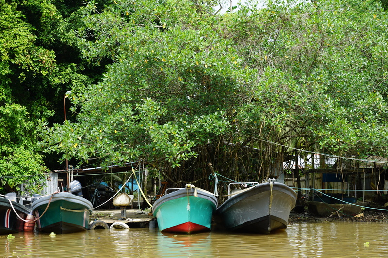 green color, tree, nature, anchored, 5K, reflection, lake, jungle, moored, River, tropical, rowboat, nautical vessel, tranquility, Rainforest, plant, Forest