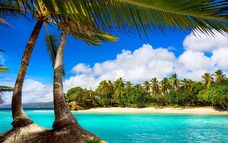 2K, exotic, view, landscape, sea, palm, beach