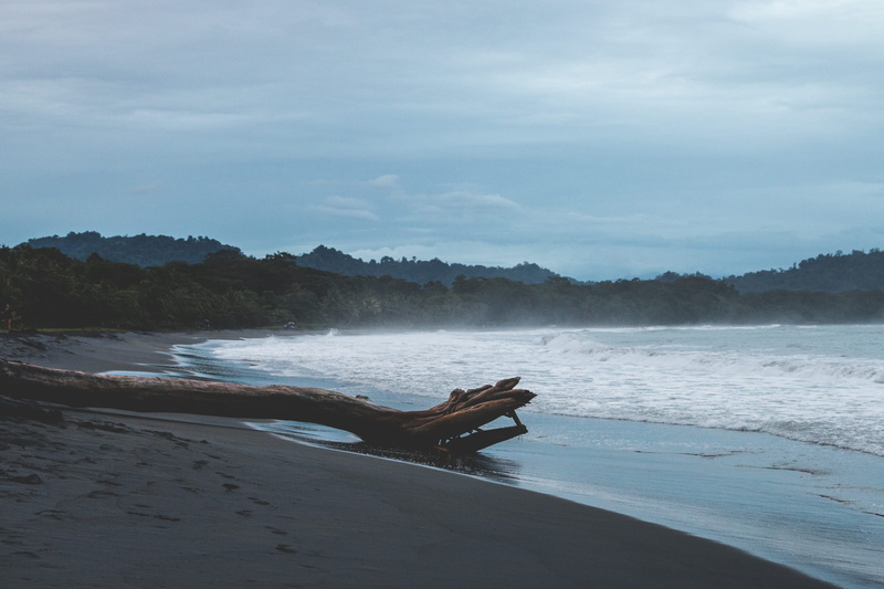 tranquil scene, 2K, misty, moody, non-urban scene, tree, beach, beauty in nature, sand, dark, outdoors, nature, real people, sky, cloud - sky, puerto viejo de talamanca