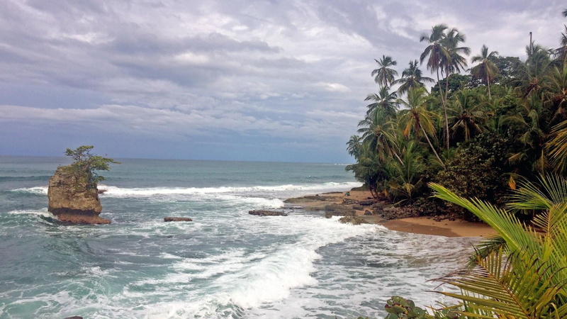 coast, beach, cloud - sky, sea, scenics - nature, coconut palm tree, tree, tropical climate, palms, nature, horizon, rock, exotic, costa rica, plant, no people