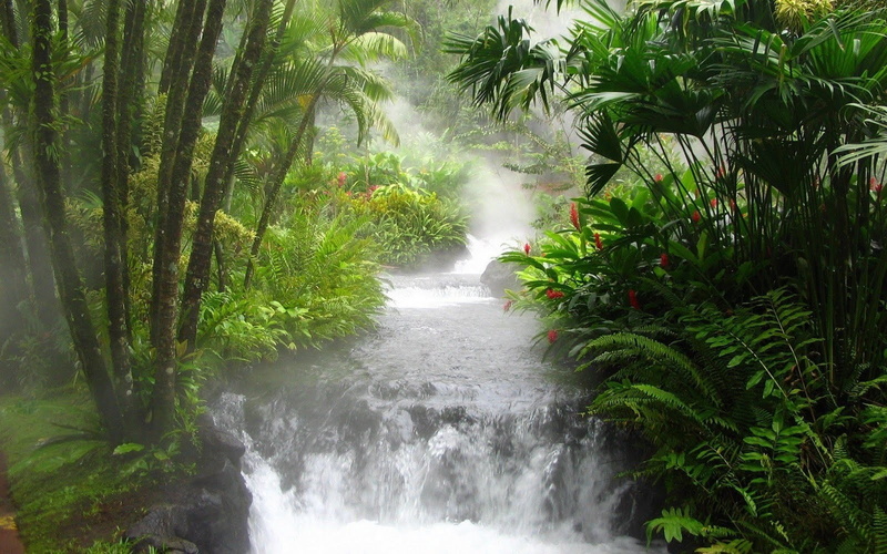 art, hd, x, water, 720P, Landscapes, jungle, wallpap, nature, scenic, waterfalls, costa, forest, rivers, trees, rica