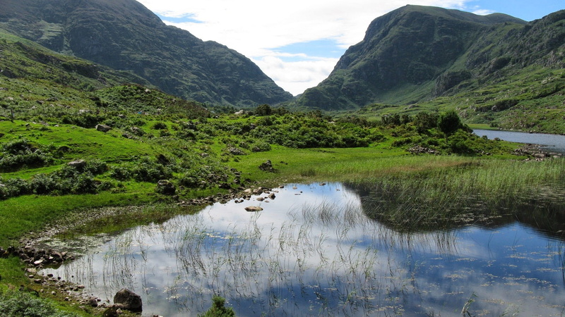 environment, no people, plant, grass, wild, outdoor, natural, outdoors, scenics - nature, ireland, sky, wilderness, green, mountain range, tranquility
