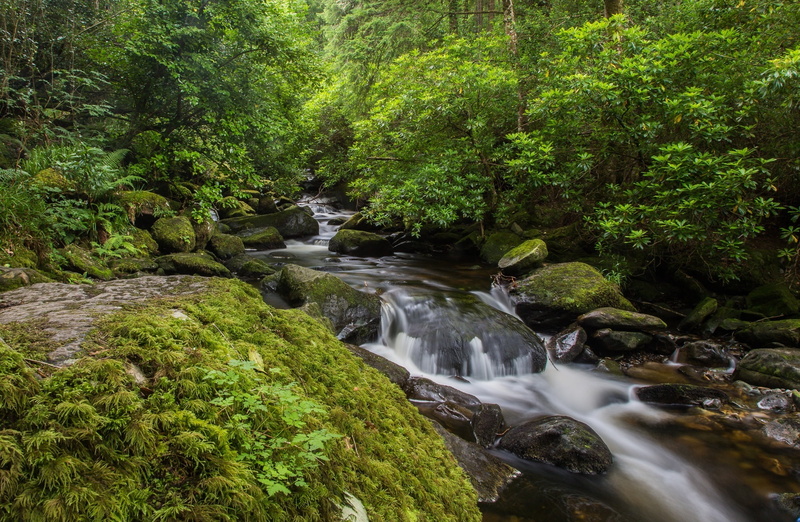 rock, motion, beauty in nature, rock - object, water, killarney, flowing, scenics - nature, waterfall, blurred motion, falling water, solid, no people