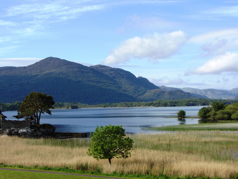 nature, non-urban scene, day, idyllic, mountain, sky, scenics - nature, grass, environment, tree, plant, ireland, no people, 4K, beauty in nature, national park
