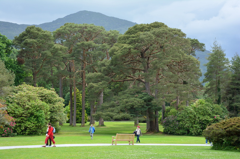 park, activity, plant, playing, golf course, passers by, away, killarney national park, mountain, real people, english garden, ireland, muckross house