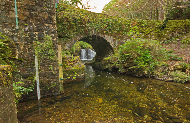 tree, killarney, bridge, no people, lake, outdoors, flowing water, day, plant, scenics - nature, water, tranquility, bridge - man made structure, architecture