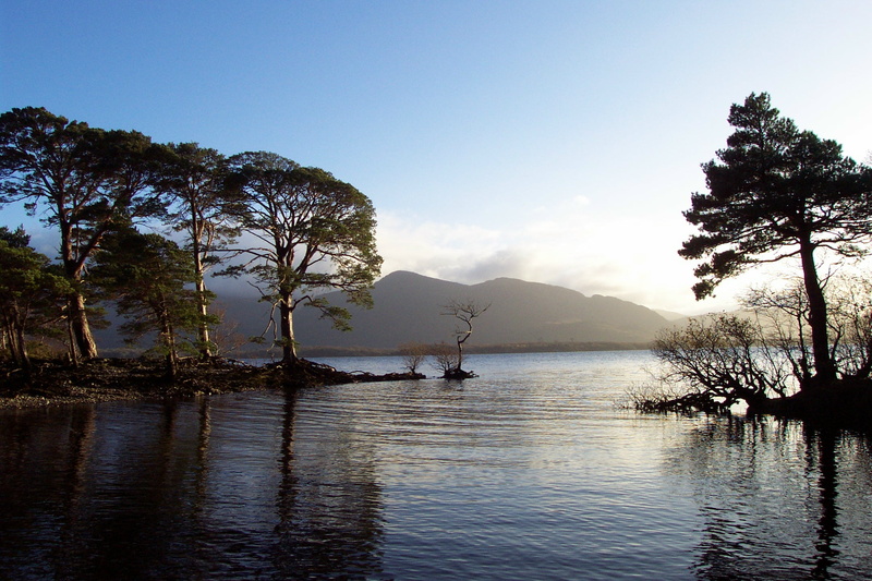 Killarney, silhouette, sunset, trees, November 2005, tree, Ireland, Ross  Castle, leaved, near, body, mountains, body of water, landscape, Kerry, nature