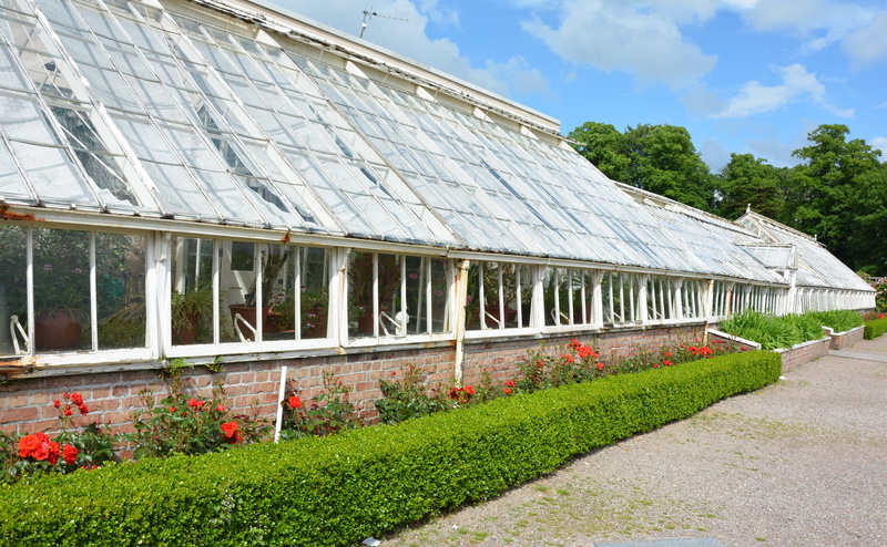 growth, outdoors, cloud - sky, national park park, nature, architecture, 5K, agriculture, english garden, roof, built structure, tree, building exterior