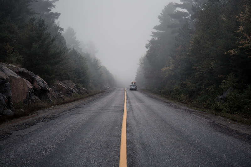fog, diminishing perspective, canoes, yellow, killarney, roadtrip, symbol, marking, mode of transportation, road, 5K, trees, scenics - nature, grey, rock