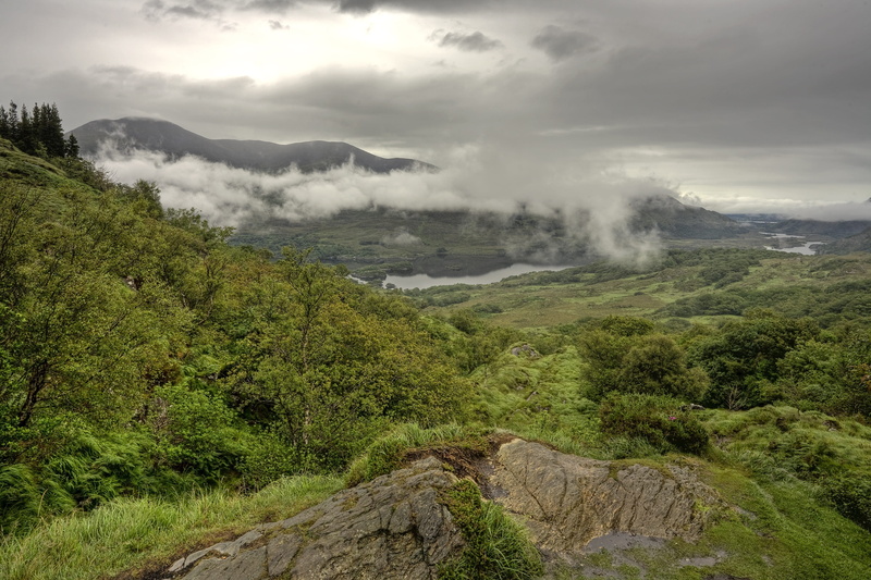 4K, no people, deforestation, ecology, growth, conservation, tranquil scene, scenics - nature, plant, killarney, scenic, cloud - sky, natural, nature