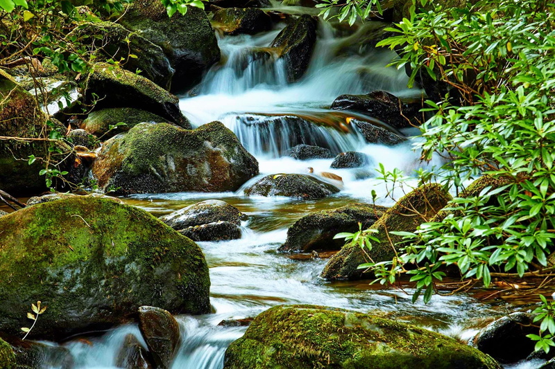 motion, 1080P, blurred motion, killarney, flowing, falling water, rock - object, land, rock, solid, plant, power in nature, waterfall, flowing water, nature