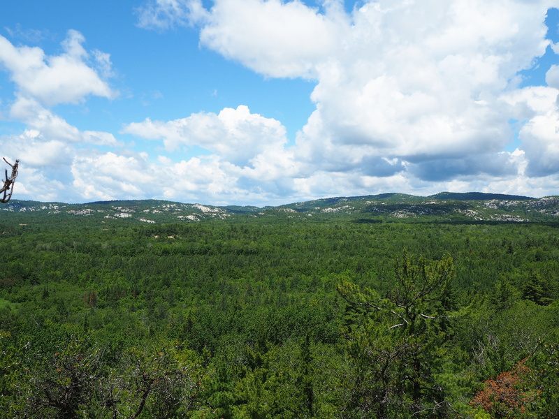 clouds, tranquil scene, canada, landscape, land, hills, killarney, tranquility, plant, cloud - sky, story, beauty in nature, idyllic, 4K, environment