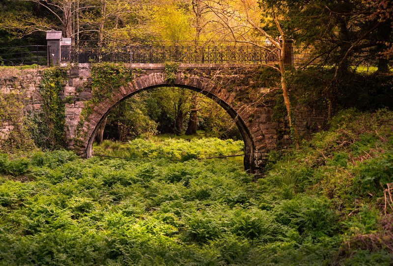 farm, forest, building, no people, grassland, killarney park, tree, bridge, ireland, built structure, beauty in nature, walkway, countryside, meadow, green color