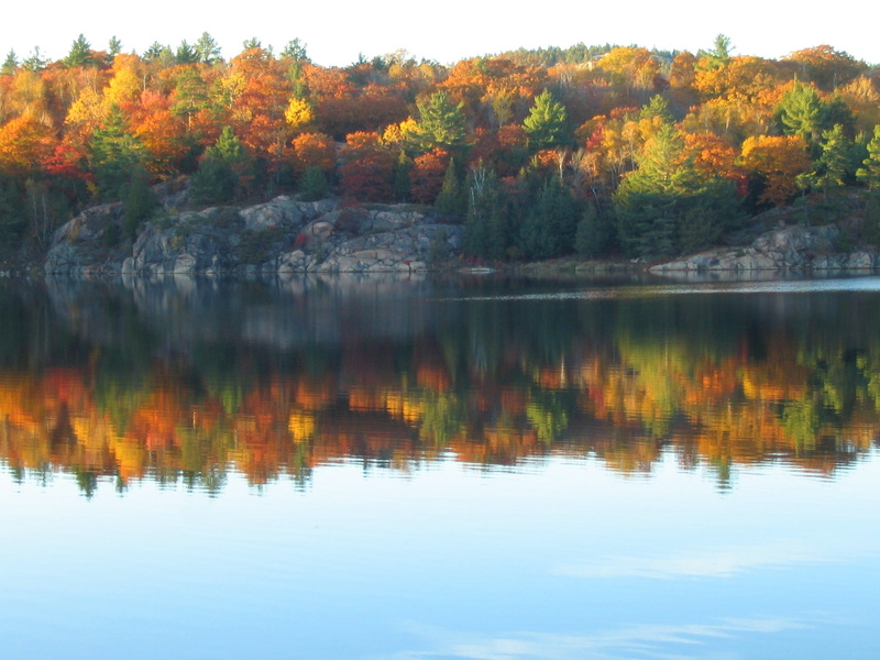 peaceful, canadian shield, granite, trees, water, rocky, calm, plant, no people, reflection, idyllic, yellow, tranquil scene, lake, 1080P, waterfront
