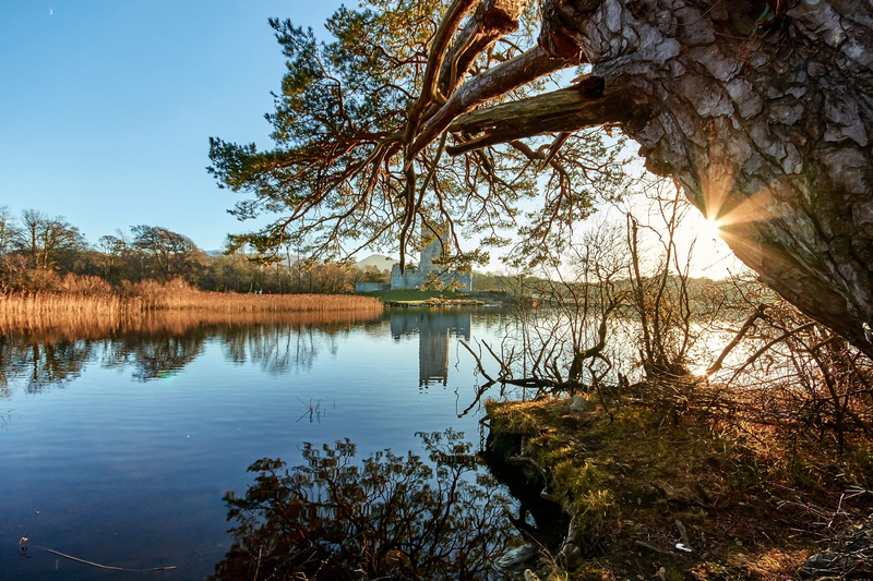 idyllic, castle, ross, tree trunk, trunk, scenics - nature, tranquil scene, outdoors, plant, sky, nature, tree, water, beauty in nature, reflection, non-urban scene