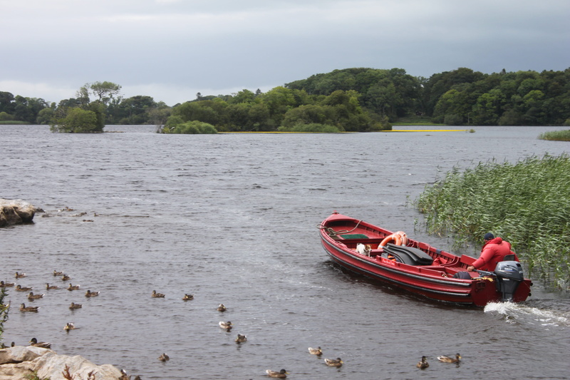 travel destinations, 4K, nautical vessel, boat, killarney, water, sky, no people, lake, land, plant, ireland, mode of transportation, beauty in nature
